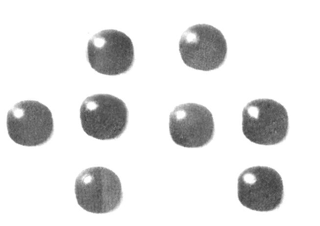 本方式による出力点字の写真